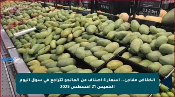 انخفاض مفاجئ.. أسعار 4 أصناف من المانجو تتراجع في سوق اليوم الخميس 21 أغسطس 2025